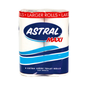 Toilet Paper 6 Maxi Rolls