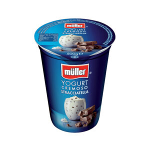Plain Yoghurt With Chocolate Pieces 500g