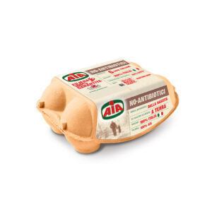 Barn Laid Antibiotic Free Eggs 6 Pack