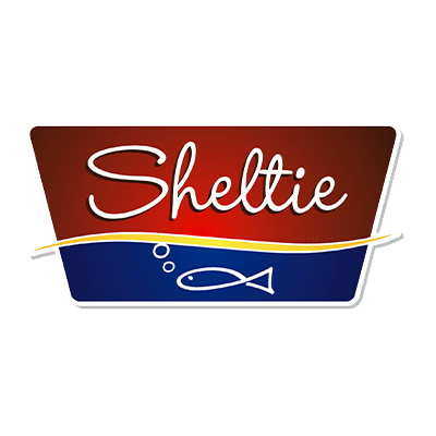 Sheltie